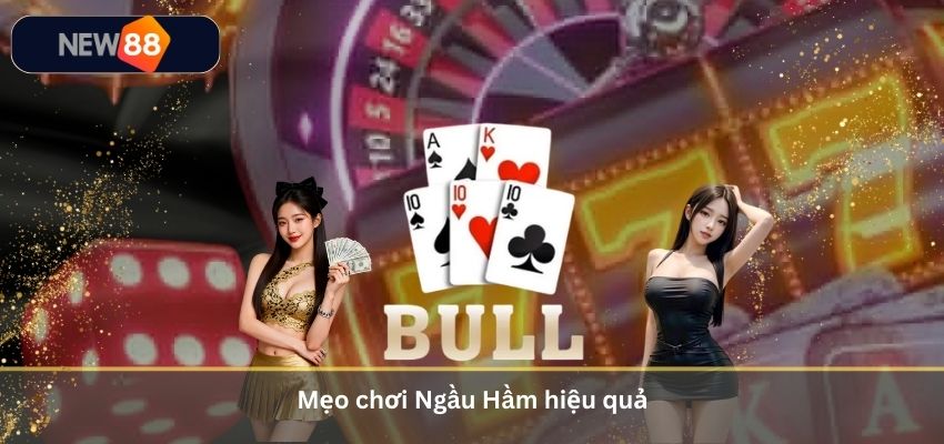 Ngầu Hầm Là Gì? Cách Chơi Ngầu Hầm Đánh Đâu Thắng Đó 2026 Tại NEW88 Mẹo chơi Ngầu Hầm hiệu quả