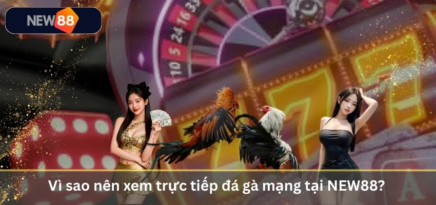 Trực Tiếp Đá Gà Mạng – Trải Nghiệm Đấu Trường Chọi Gà Đỉnh Cao 2026 Vì sao nên xem trực tiếp đá gà mạng tại NEW88?
